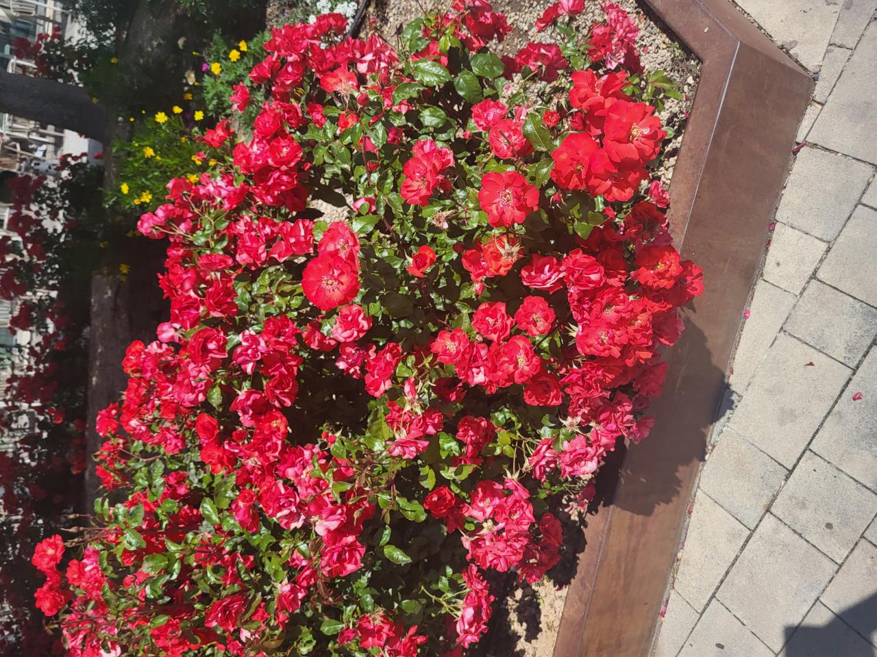 Chica busca chico en Zaragoza: 