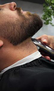 Chico busca chica en Valencia: 