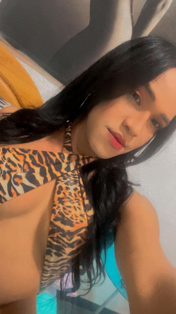 Transexual en Valencia: Transexuales y Travestis