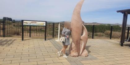 632297132: Chica busca chico en Navarra