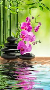 631290051: Chica busca chico en Valencia