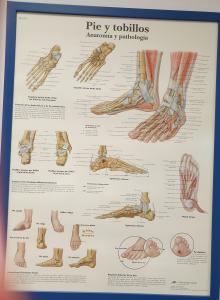 Chica busca chico en Zaragoza: 