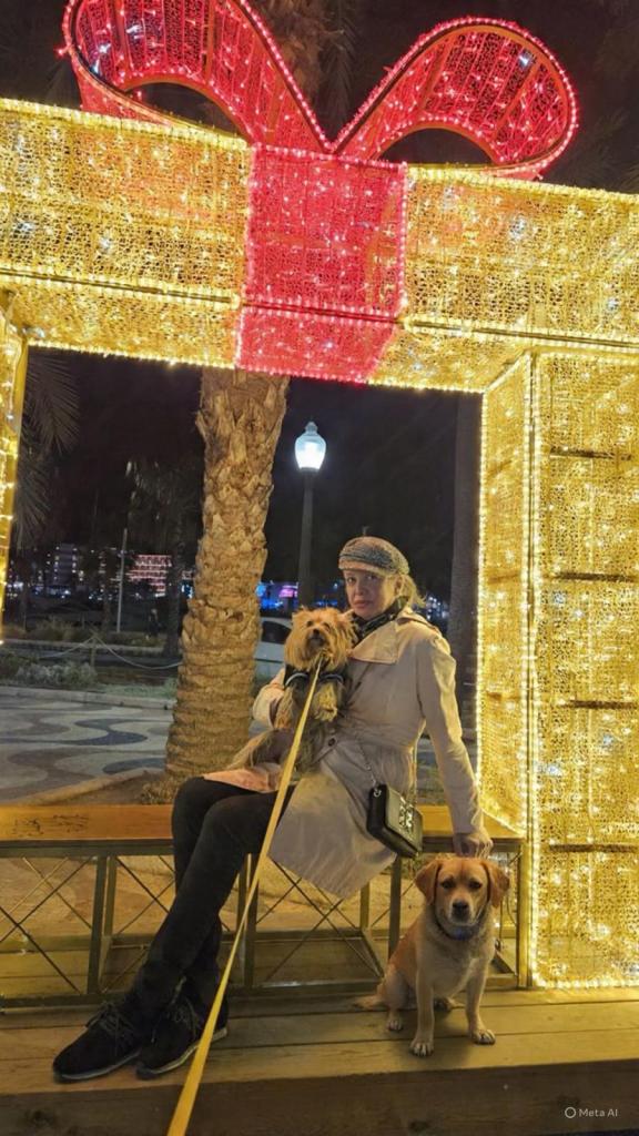 Transexual en Alicante: 